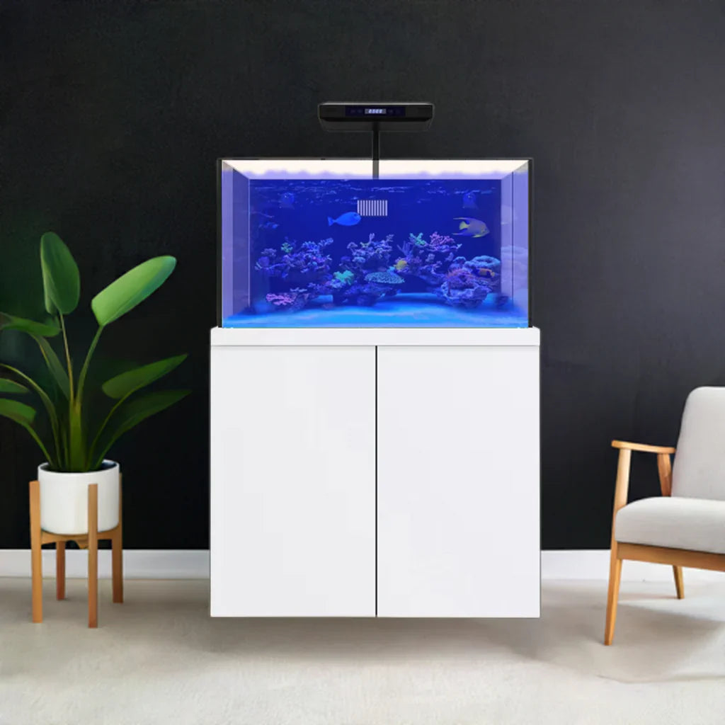 100 Gallon Coral Reef Aquarium Fish Tank Complete Set including one Coral light & one Protein Skimmer